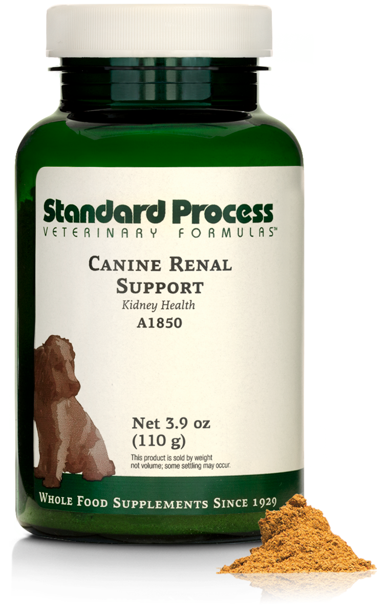 Kidney Care Essentials
