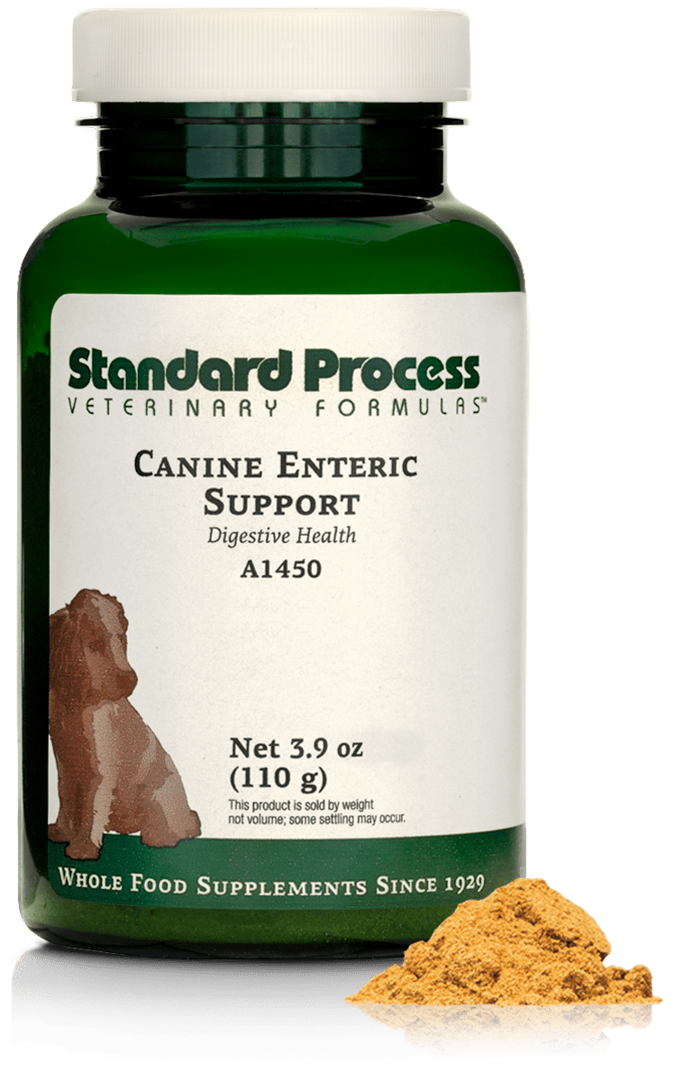 Canine Enteric Support, 3.9 oz (110 g) - Standard Process Inc