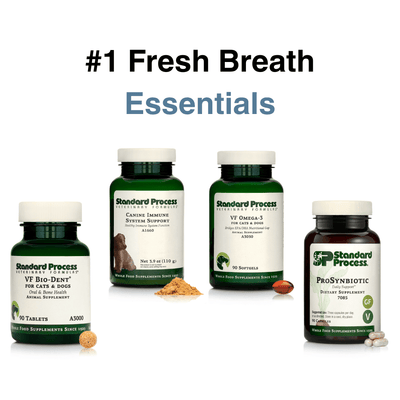 Dental Starter Pack - NutriPetPak