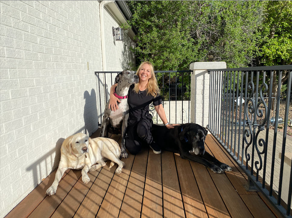 dogs dr scolnick