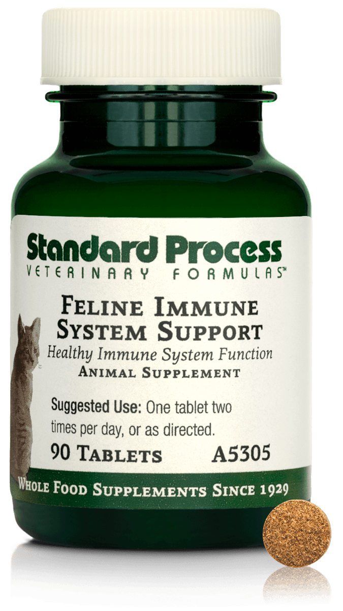 Feline Immune System Support, 90 Tablets - Standard Process Inc