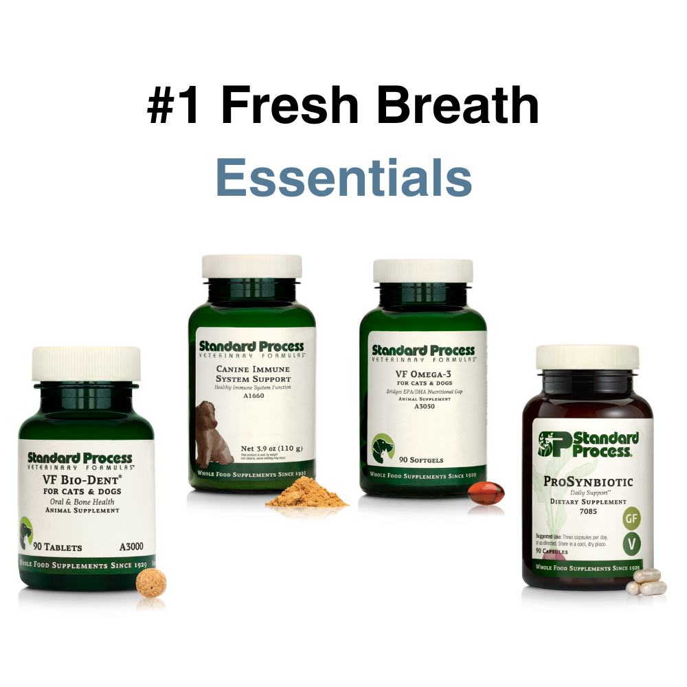 Fresh Breath Essentials