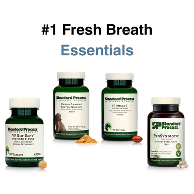 Fresh Breath Essentials