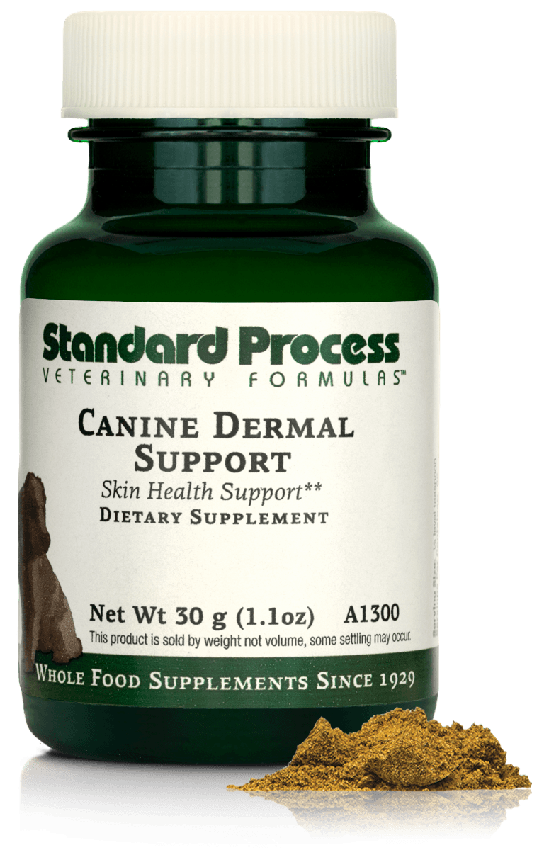Canine Dermal Support, 30 g