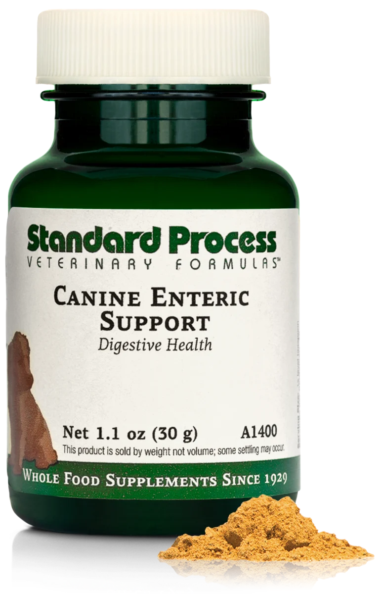 Pets Gut-Brain Balance Bundle