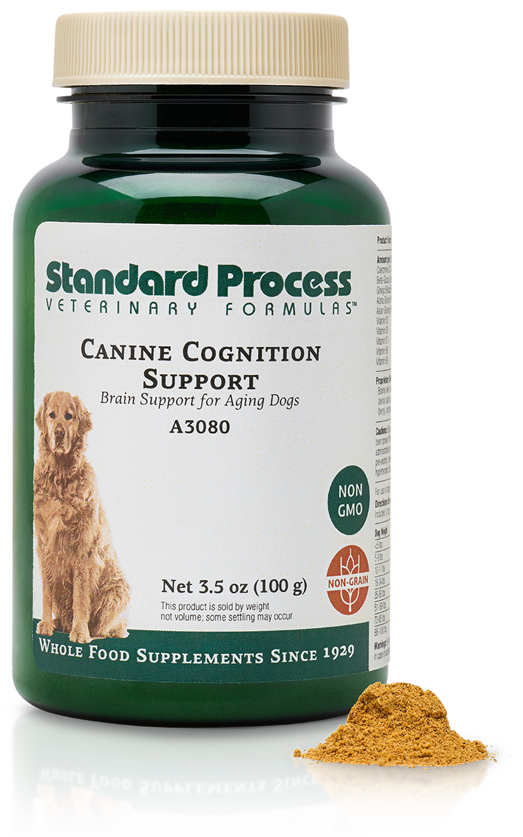 Canine Cognition Support, 3.5 oz (100 g) - Standard Process Inc