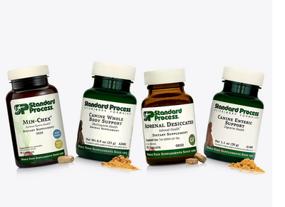 Pets Gut-Brain Balance Bundle