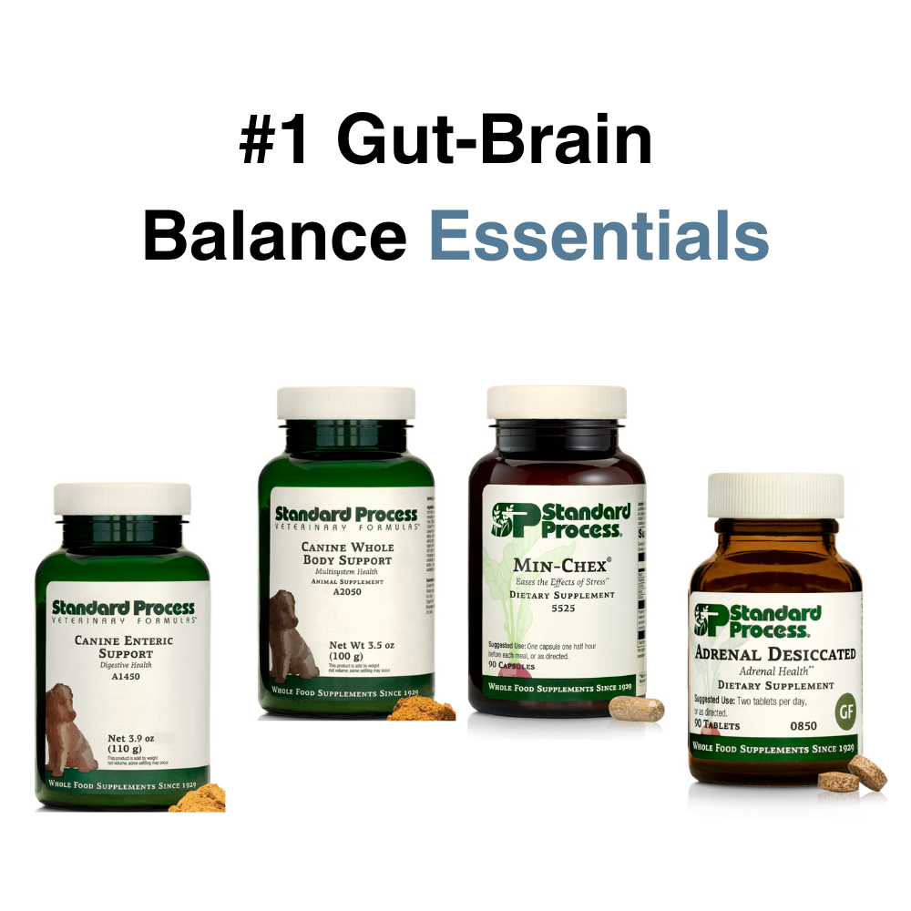 Gut-Brain Balance Essentials
