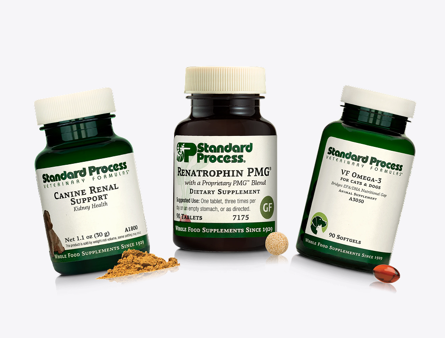 Pets Kidney Care Bundle