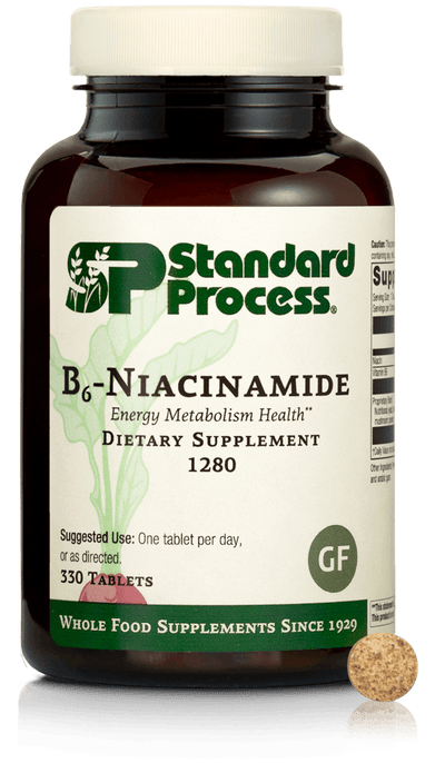 B6 - Niacinamide, 330 Tablets - Standard Process Inc