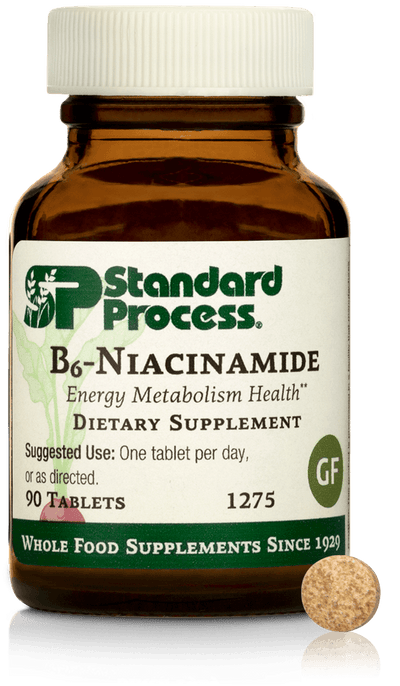 B6 - Niacinamide, 90 Tablets - Standard Process Inc