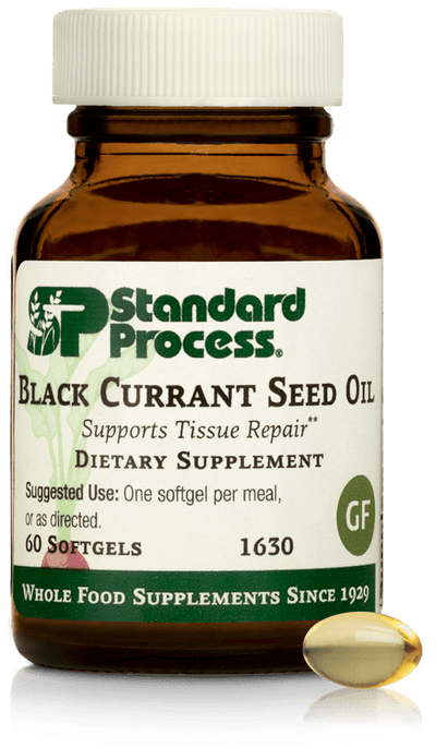 Black Currant Seed Oil, 60 Softgels - Standard Process Inc