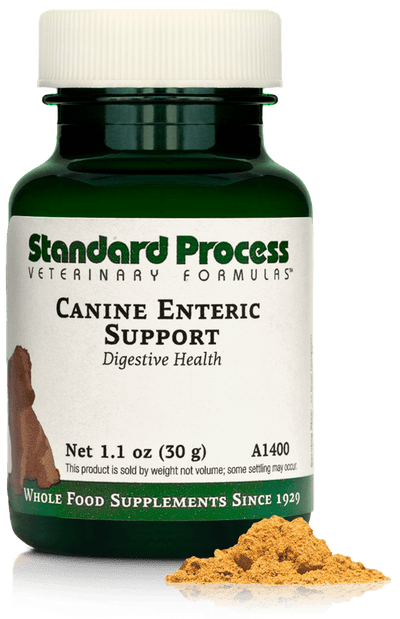 Canine Enteric Support, 1.1 oz (30 g) - Standard Process Inc