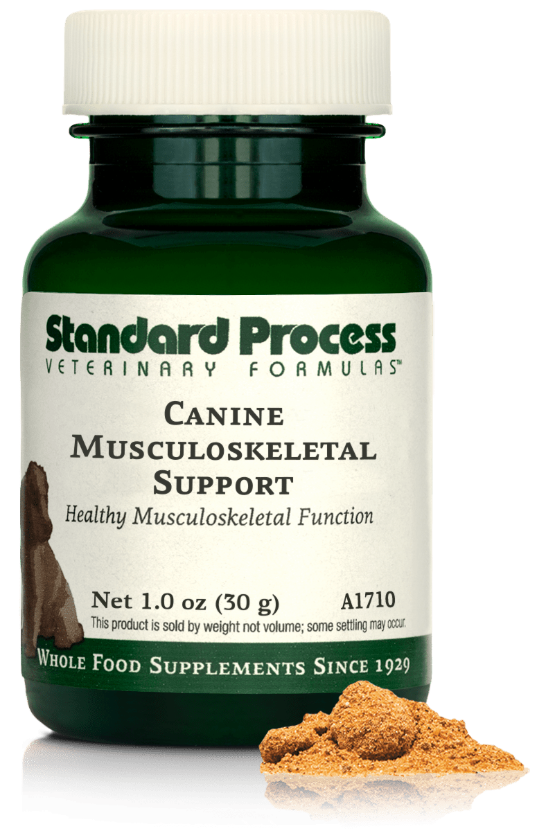 Canine Musculoskeletal Support, 1 oz (30 g) - Standard Process Inc