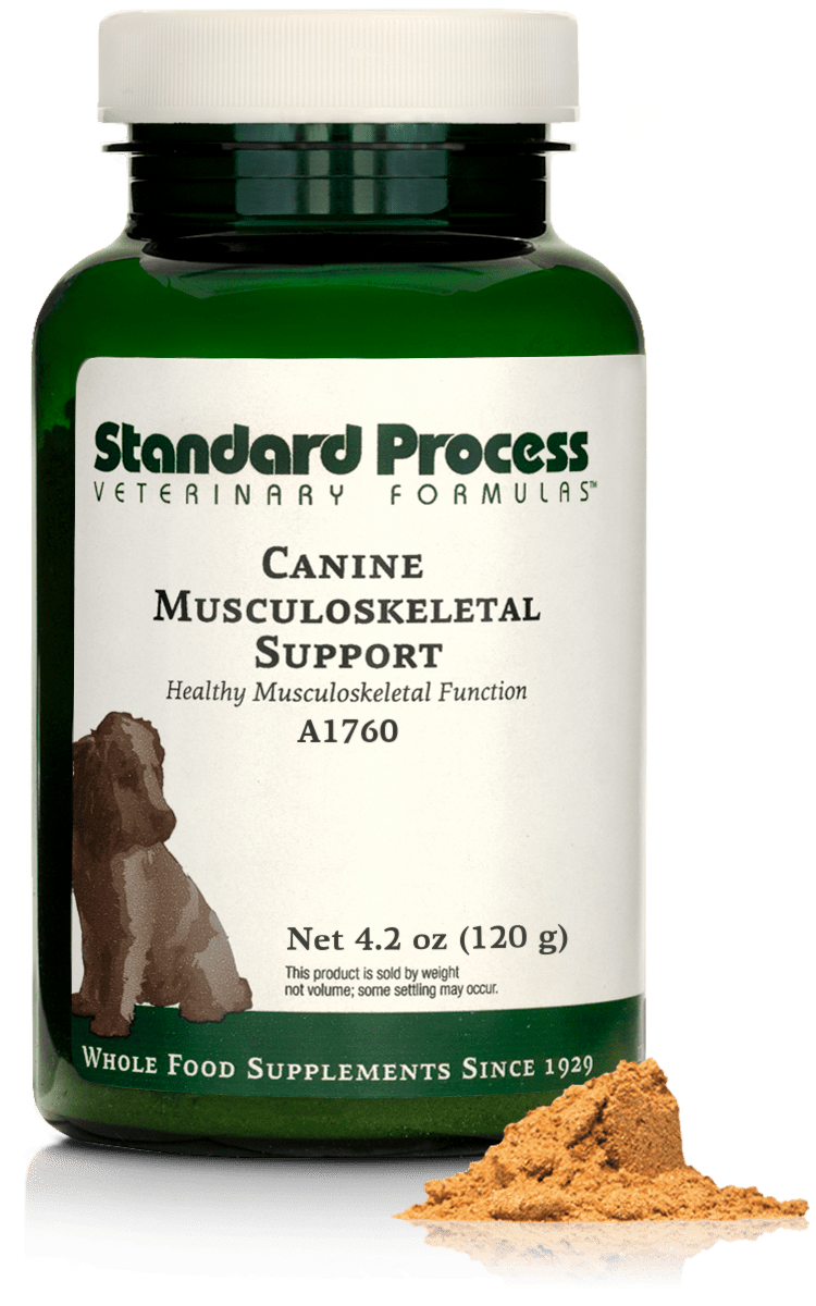 Canine Musculoskeletal Support, 4.2 oz (120 g) - Standard Process Inc