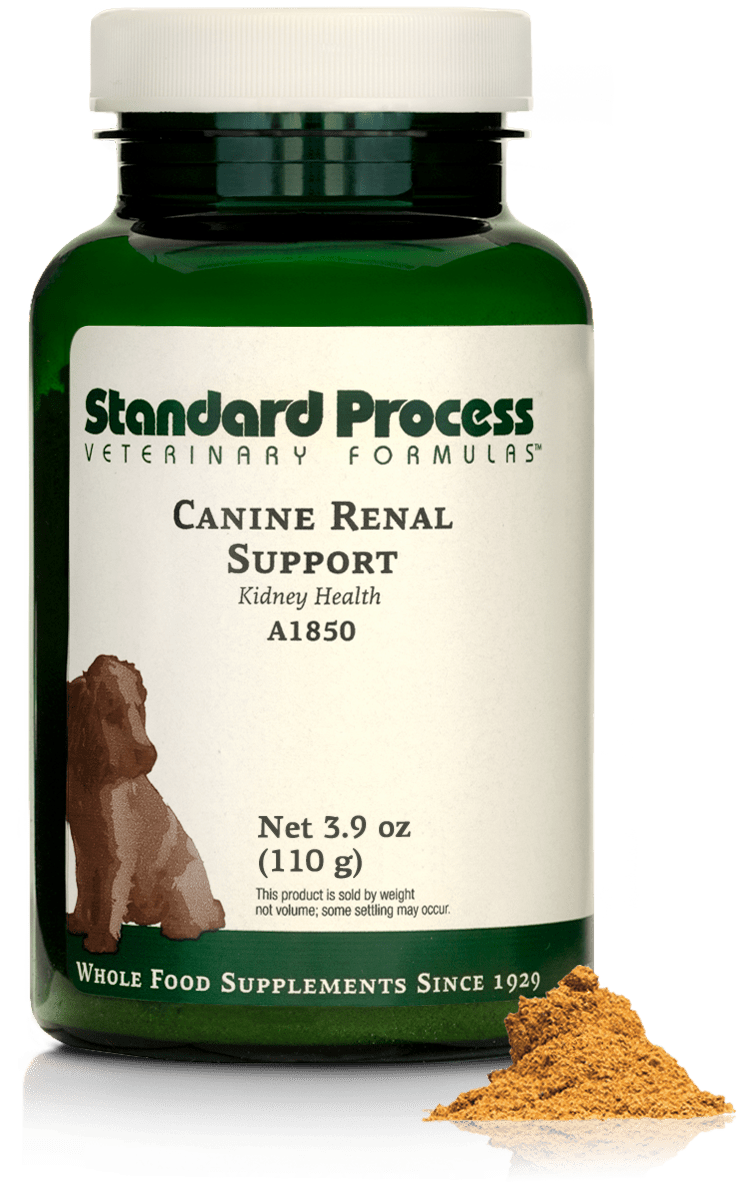 Canine Renal Support, 3.9 oz (110 g) - Standard Process Inc