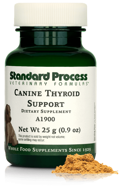 Canine Thyroid Support, 0.9 oz (25 g) - Standard Process Inc