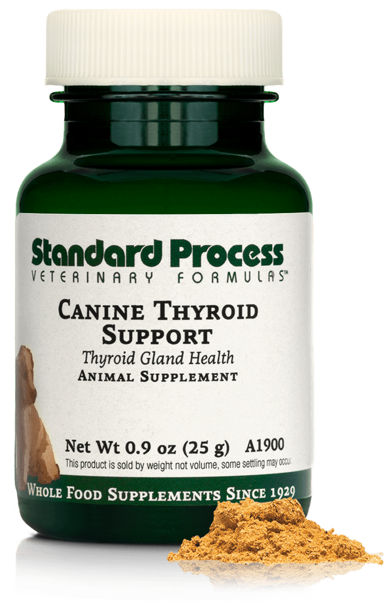 Canine Thyroid Support, 0.9 oz (25 g) - Standard Process Inc