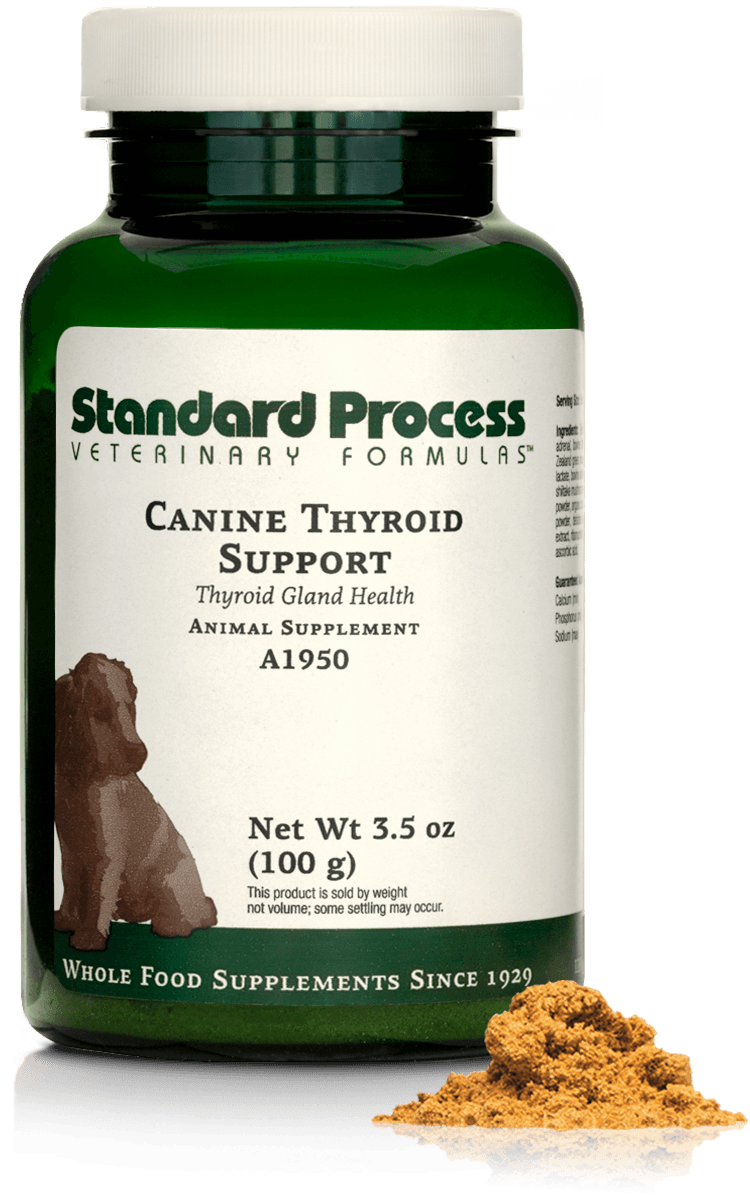 Canine Thyroid Support, 3.5 oz (100 g) - Standard Process Inc