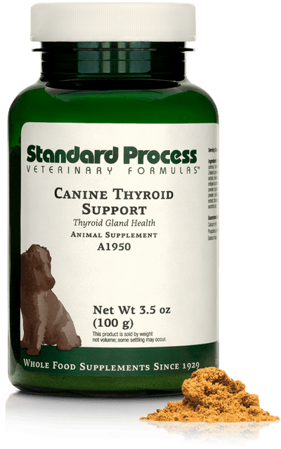 Canine Thyroid Support, 3.5 oz (100 g) - Standard Process Inc