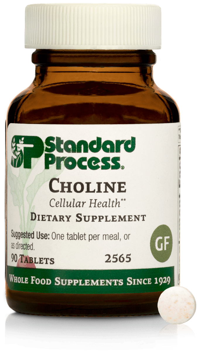 Choline, 90 Tablets - Standard Process Inc