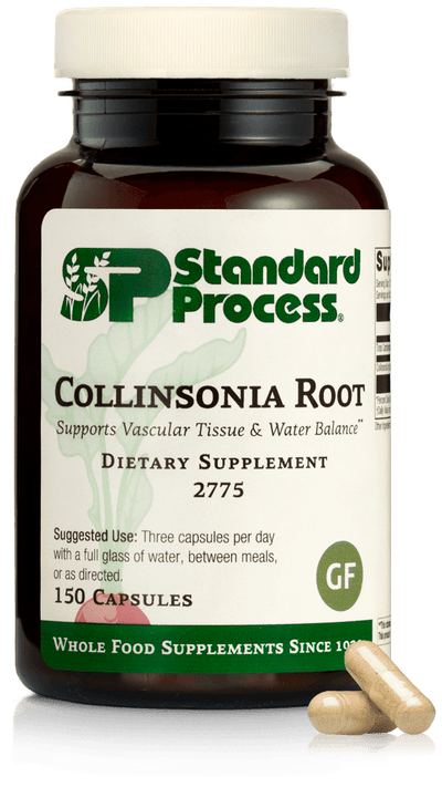 Collinsonia Root, 150 Capsules - Standard Process Inc