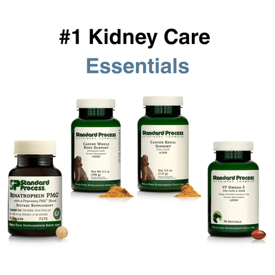 Kidney Care Bundle - NutriPetPak