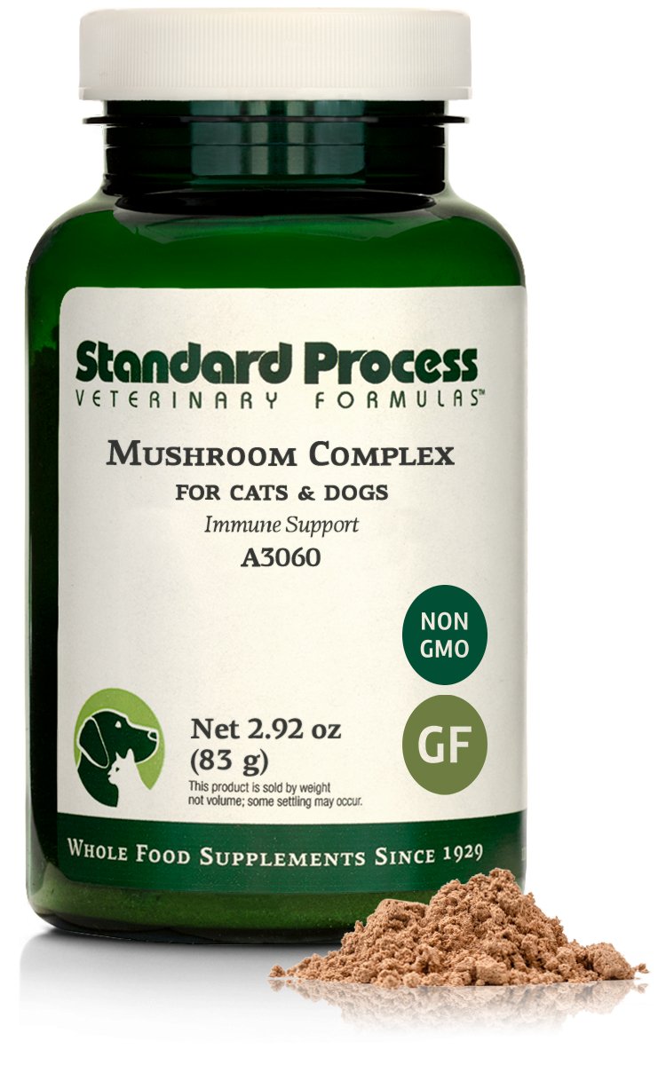 Mushroom Complex, 2.92 oz (83 g) - Standard Process Inc