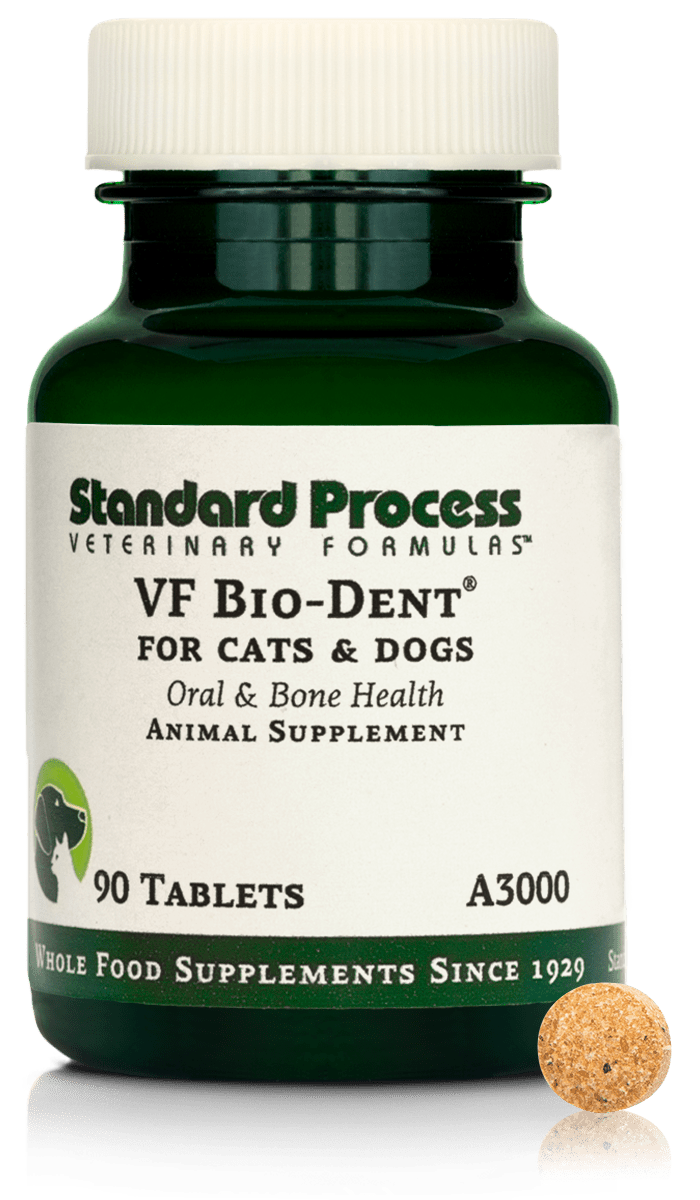 VF Bio - Dent® For Pets, 90 Tablets - Standard Process Inc